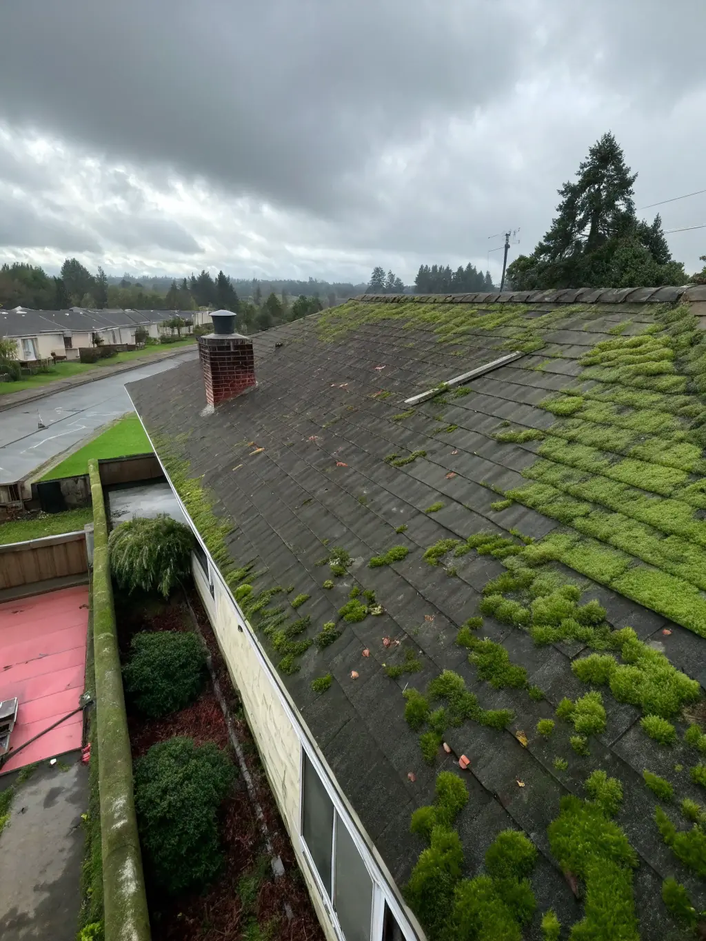 A roof being cleaned with specialized equipment, removing moss and algae, highlighting the extended lifespan and improved appearance of the roof.